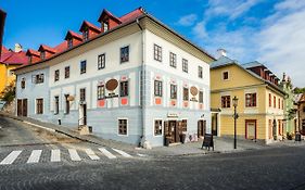 Hotel Salamander
